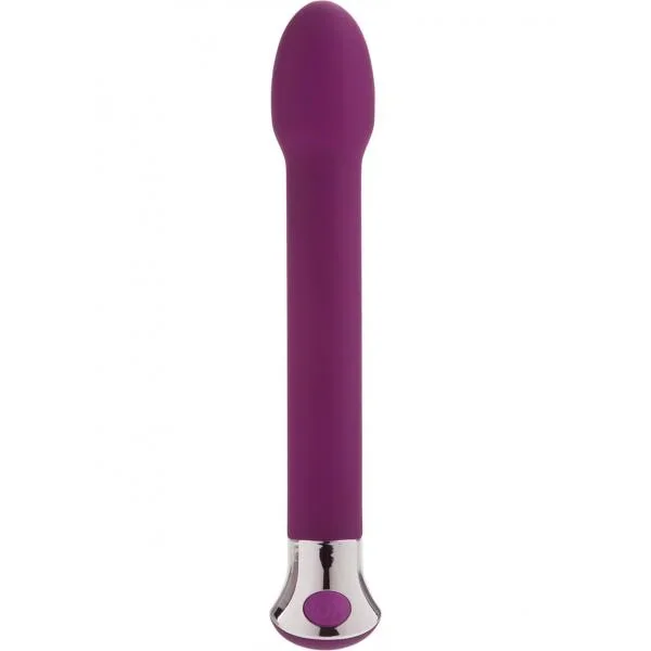 10 Function Risque Tulip Vibrator Purple