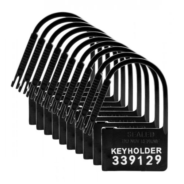 10pk Keyholder Plastic Chastity Locks