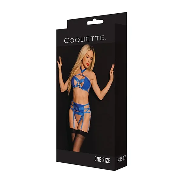 Black Label Underwire Bra w/Choker, Garterbelt & G-String Blue O/S