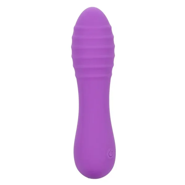 Bliss Liquid Silicone Ripple Rechargeable Vibrator – Purple