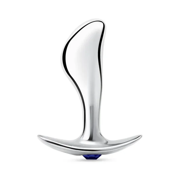 Blue Line Bling Prostate Massager Plug 2.5in – Stainless Steel