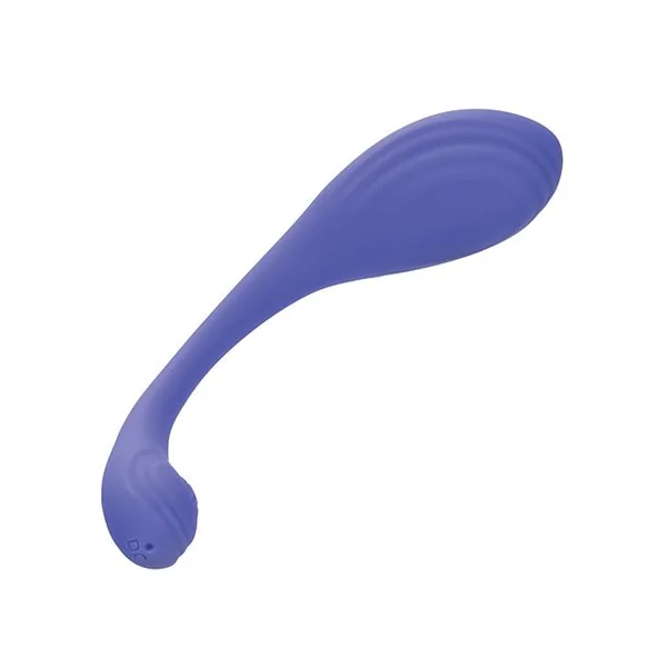 CalExotics Connect App Based Kegel Exerciser