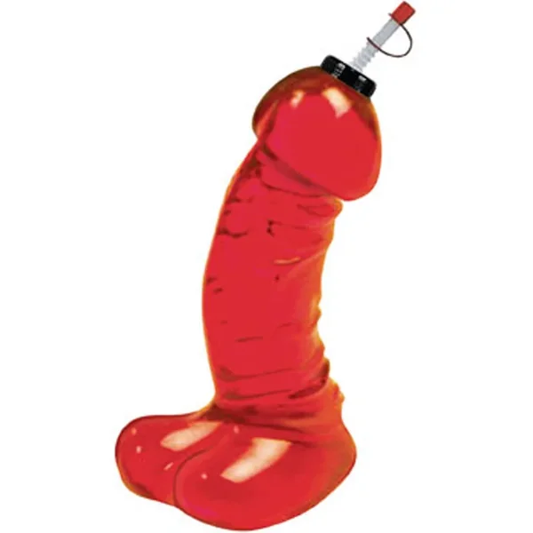 Dicky Chug Sports Bottle Red 16 Ounce