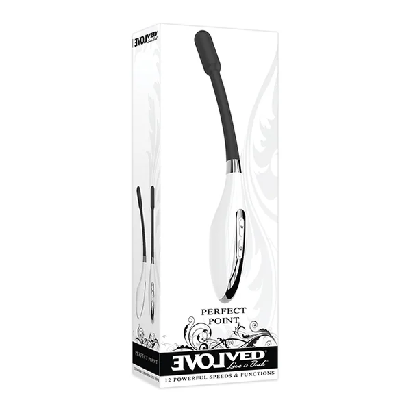 EVOLVED PERFECT POINT