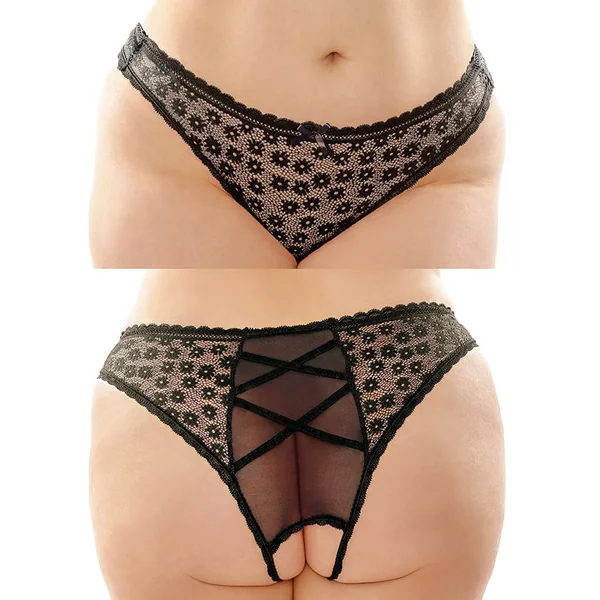 Fantasy Lingerie Daisy Crotchless Lace and Mesh Panty - Black Queen