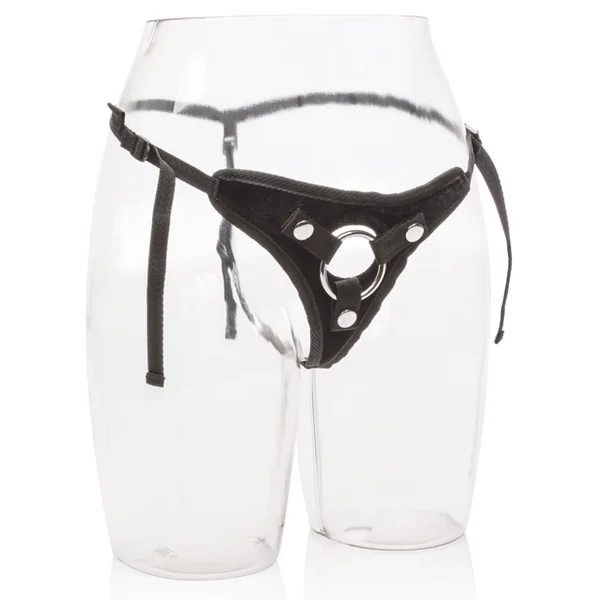 HER ROYAL HARNESS PRINCESS (BULK)