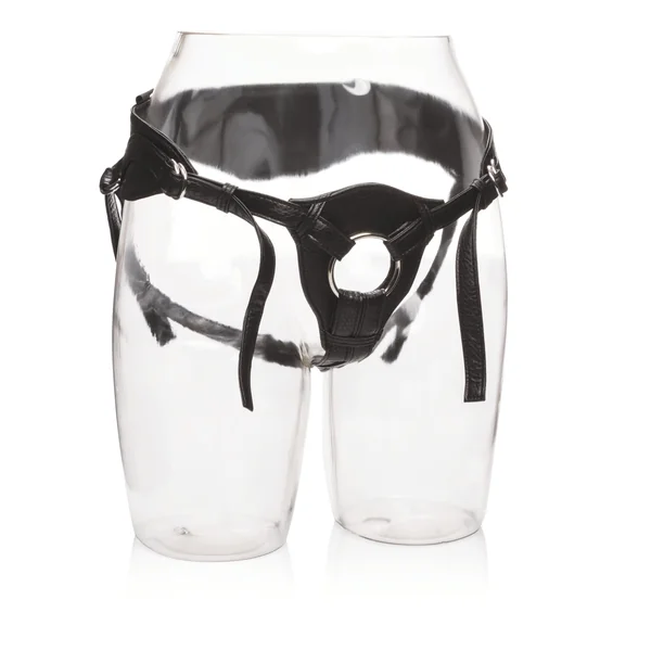 Her Royal Harness - the Queen