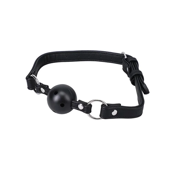In a Bag Ball Gag