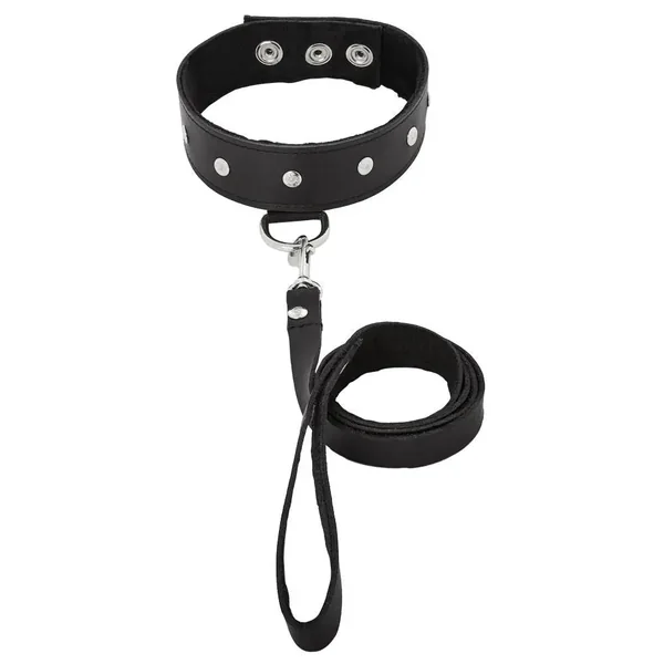 Leather Collar and Leash Set