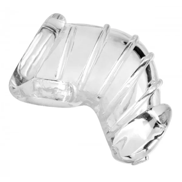 MASTER SERIES DETAINED CHASTITY CAGE