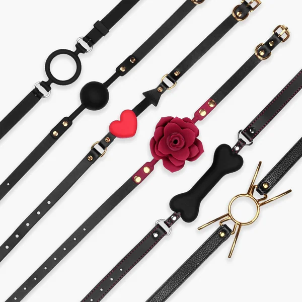 MIAOMISS Ball Gag Training System Set