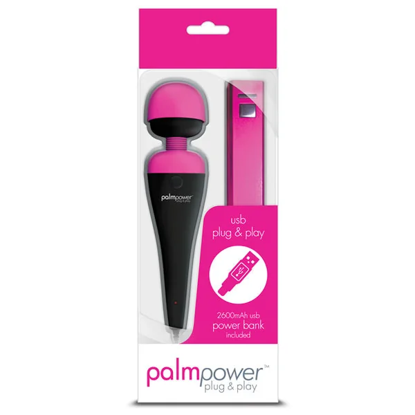 Palm Power Plug & Play
