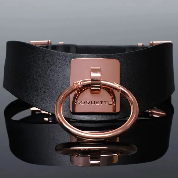 Pleasure Collection Adjustable Collar