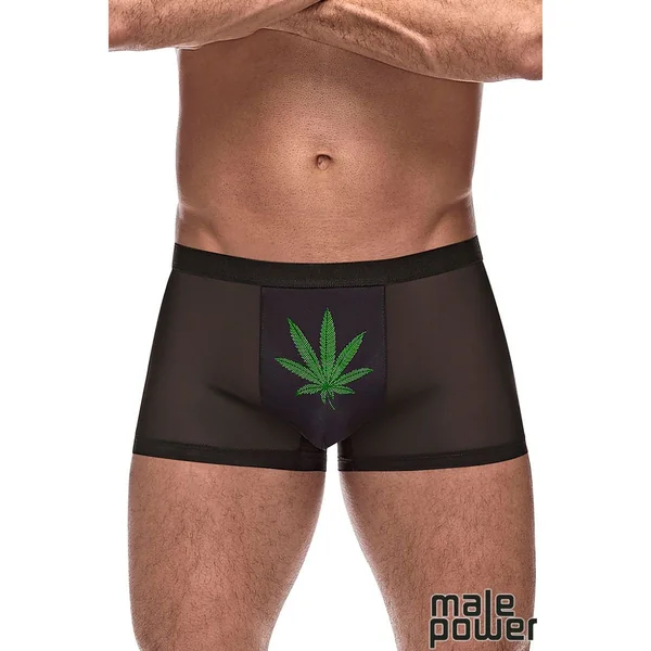 Private Screening Leaf Boxers by Male Power