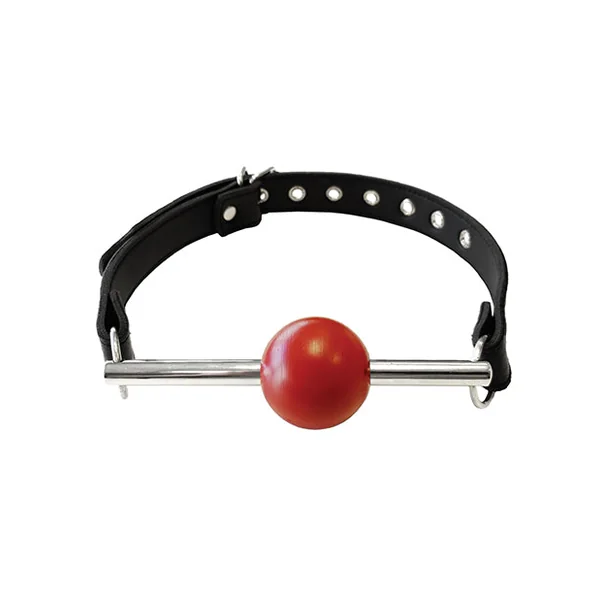 Rouge Leather Ball Gag W/removable Ball - Black W/red