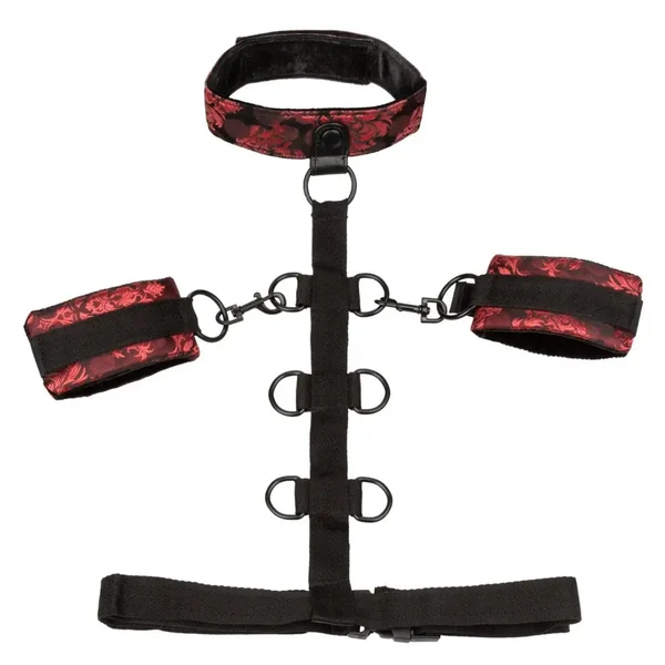 Scandal® Collar Body Restraint
