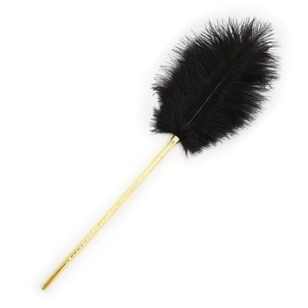 SM Feather Tickler with Metal Handle Role Play