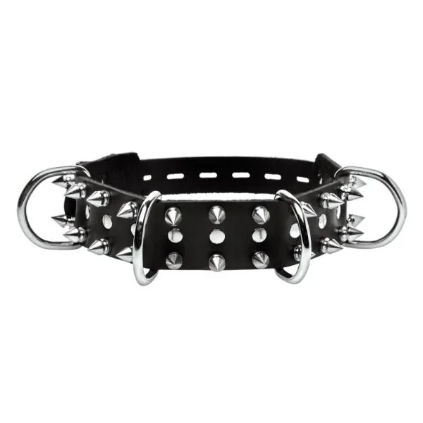 Strict Leather Spiked Dog Collar