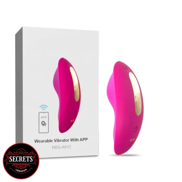 The App-Controlled Panty Vibrator
